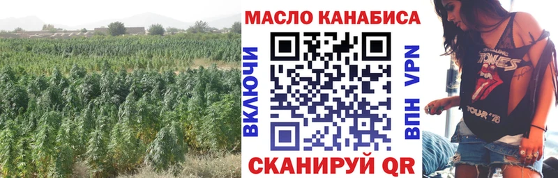 Купить закладки  Галич  Дистиллят ТГК гашишное масло 