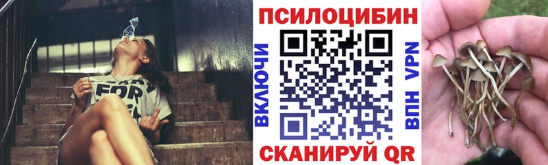 Купить Галич Псилоцибиновые грибы мухоморы
